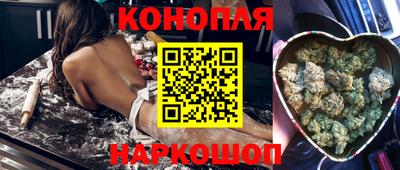 прущие грибы Вязьма