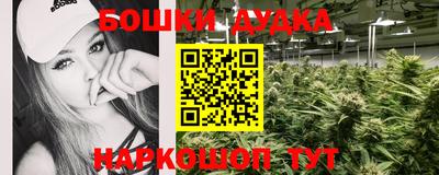 прущие грибы Вязьма
