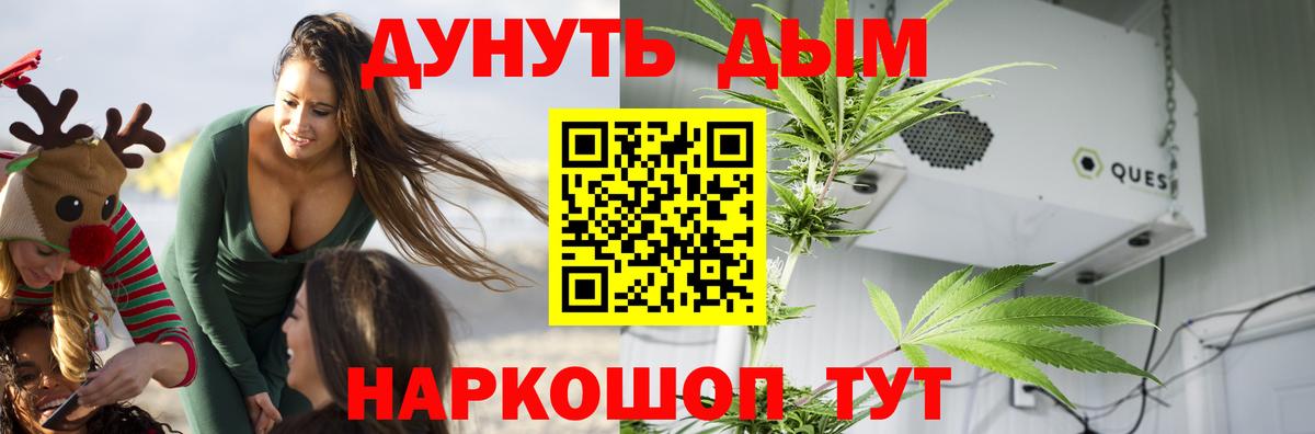 Канабис семена Нягань